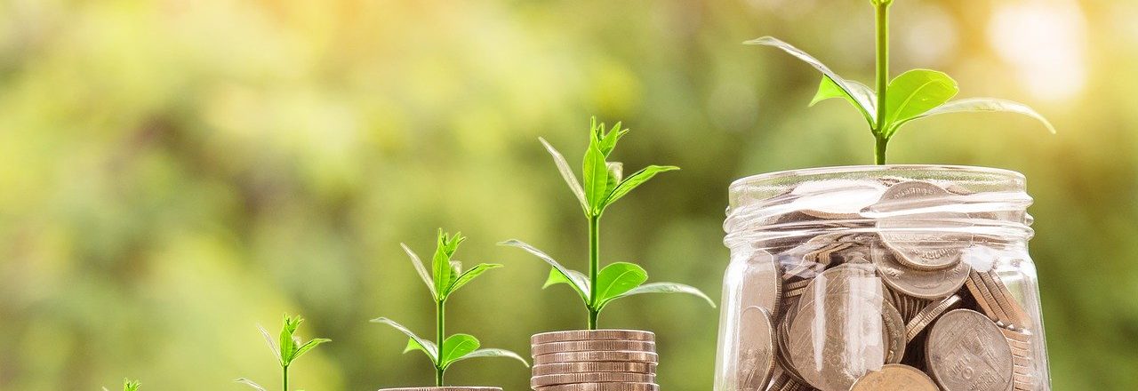 Nuestras ofertas del mes – Despierta y Entrena