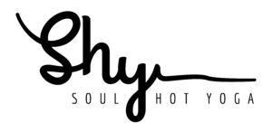 shy le max soul hot yoga wellington madrid